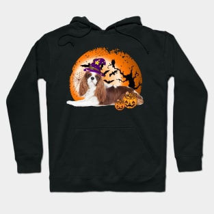 Happy Halloween Cavalier King Charles Spaniel Dogs Halloween Gift Hoodie